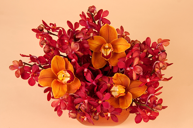 Arrang-0051